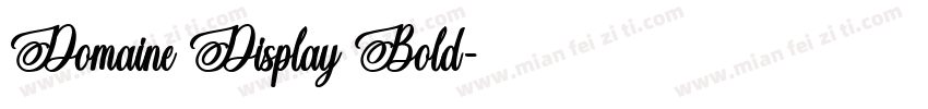 Domaine Display Bold字体转换